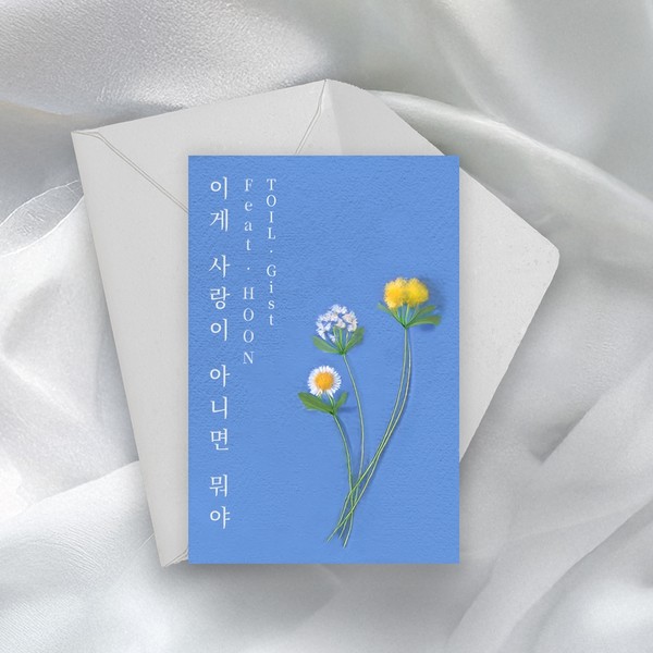 [사진 = TOONSTUDIO 제공] 