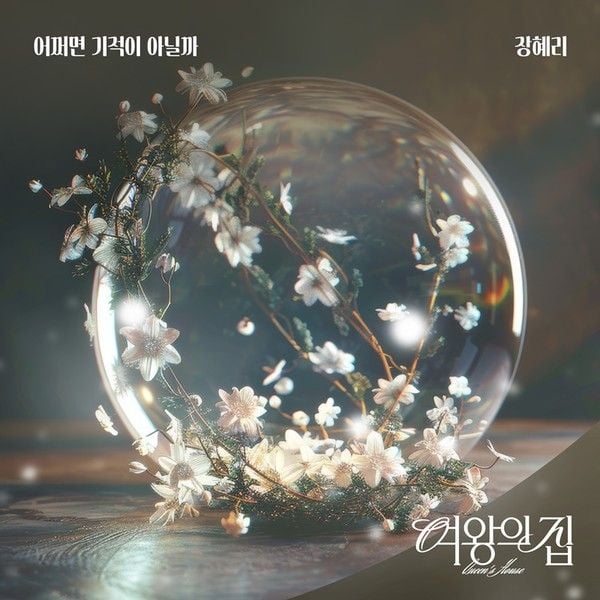 [사진 제공: 요구르트 스튜디오]  
