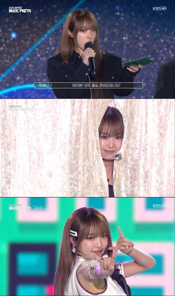 [사진 = KBS 2TV ‘2025 APEC MUSIC FESTA’ 방송 화면 캡처] 