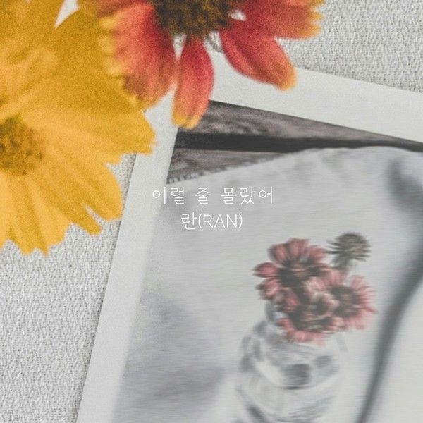 [사진 제공: 요구르트 스튜디오]  