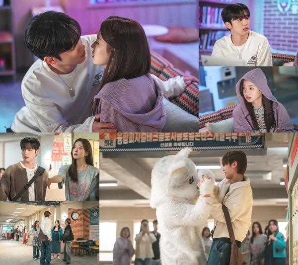 사진제공 = 스토리몹 