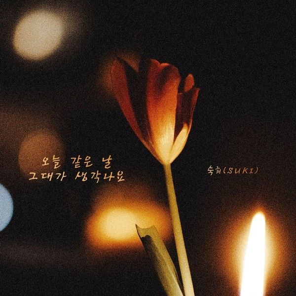 [사진 제공: 요구르트 스튜디오]