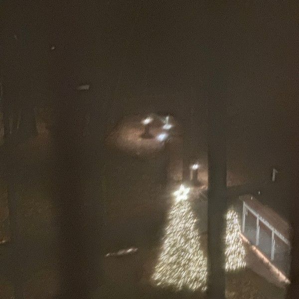 [사진 = YY엔터테인먼트 제공]  