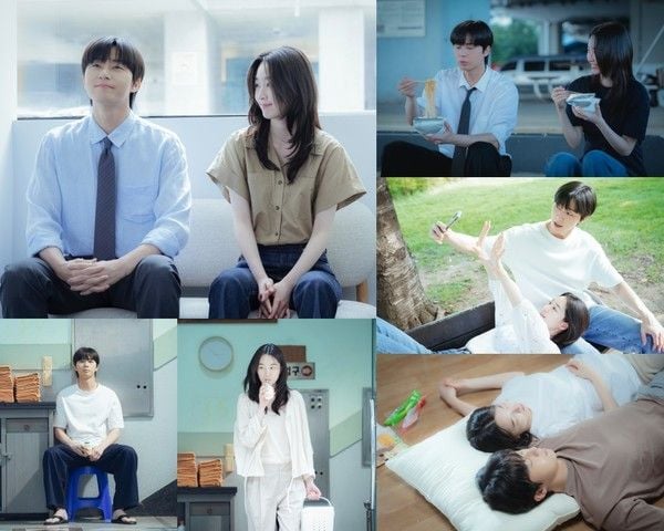 사진 제공: SLL, 아이엔, 글뫼 