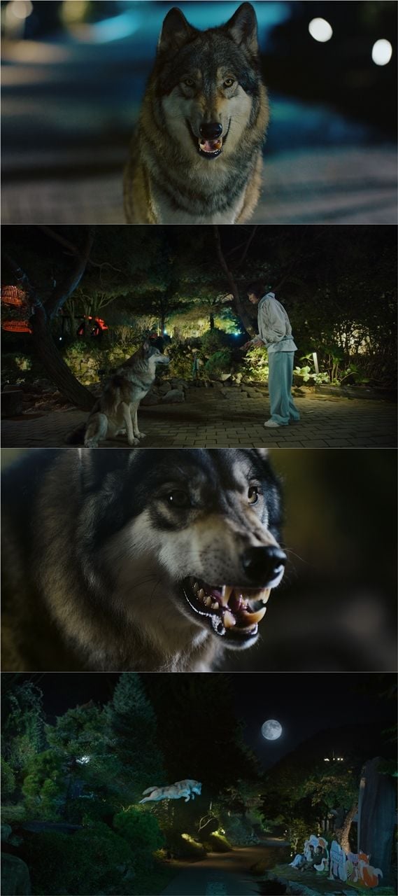 사진 제공 : 2025 KBS 2TV 단막 프로젝트 ‘러브 : 트랙’  