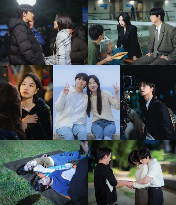 사진 제공: SLL, 아이엔, 글뫼  