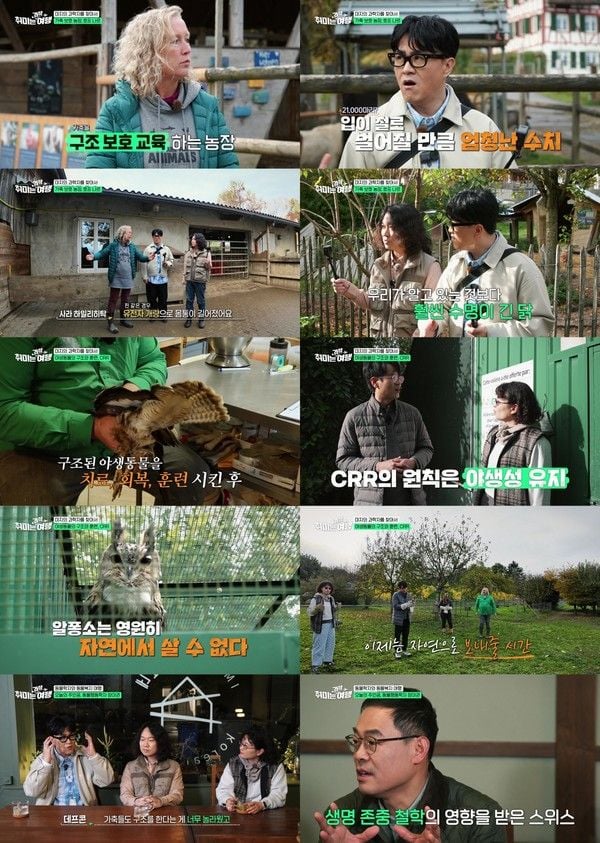 사진 제공: EBS <취미는 과학여행> 영상 캡처  