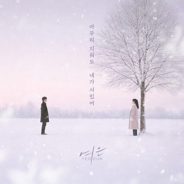 [사진 제공: 요구르트 스튜디오] 