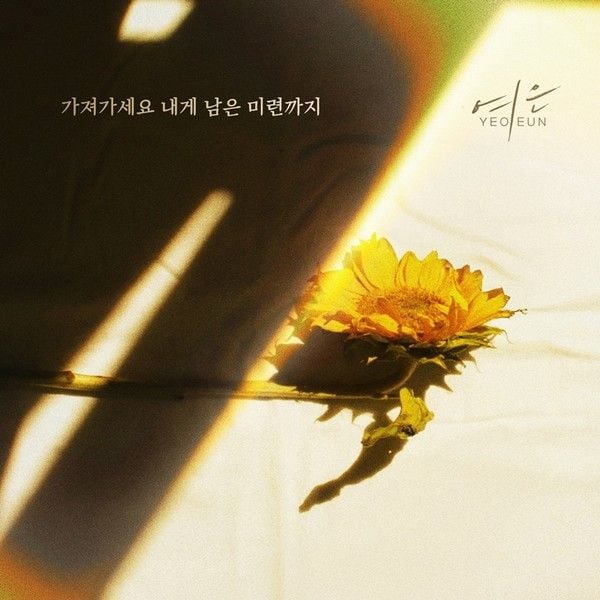 [사진 제공: 요구르트 스튜디오]  
