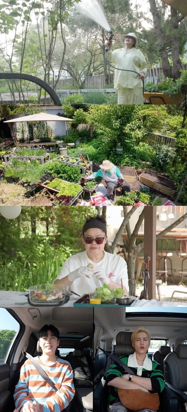 사진제공= MBC ‘전지적 참견 시점’