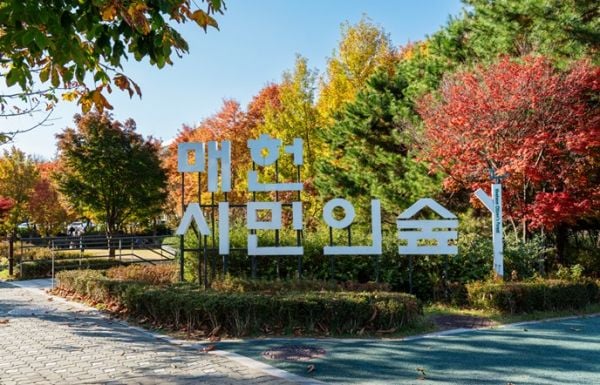 매헌시민의숲  