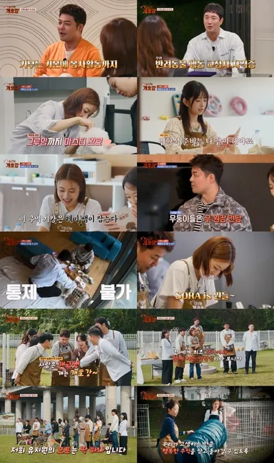 [집 나가면 개호강] 전현무, 유기견 봉사하다 만난 6남매 ‘개치원’에 초대…신입생들과 입학식 성료!