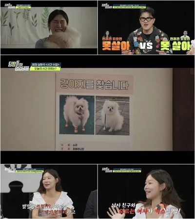 [탐정들의 영업비밀] "진짜 개 같네" 분노 폭발! 자식 같은 반려견 실종의 충격 진실...남편이 버렸다?
