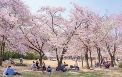 서울어린이대공원, 2025년 관람객 8년 만에 800만 명 돌파!