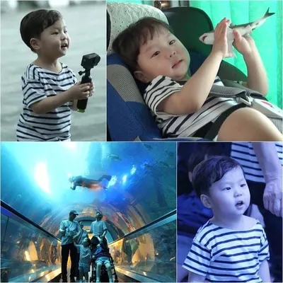 ‘슈돌’ ‘상어 덕후’ 정우, 드디어 꿈 이뤘다! 머리 위 상어 발견에 90도 고개 꺽임!