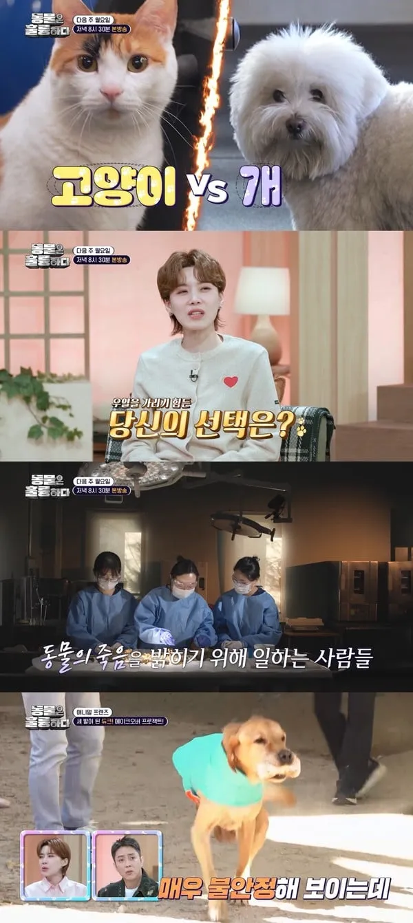 [사진 = KBS 제공] 