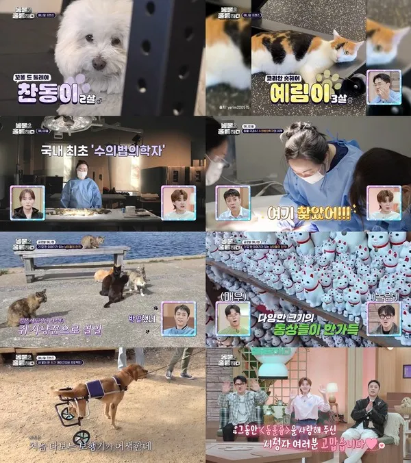 [사진 = KBS2 '동물은 훌륭하다' 방송 캡처] 