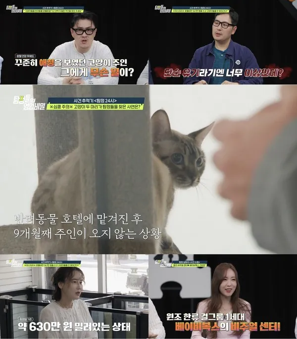  '탐정들의 영업비밀'이 고양이들을 반려동물 호텔에 맡긴 뒤 연락이 두절된 주인을 찾아 나선다. 또 게스트로 출격한 베이비복스의 간미연은 '방부제 미모'의 특급 비결을 공개한다.   5일(월) 밤 9시 30분에 방송되는 채널A '탐정들의 영업비밀' 사건 추적기 '탐정 24시' 코너에서는 사상 최초로 반려동물을 대상으로 한 의뢰가 접수된다.  의뢰의 내용은 "2024년 7월에 반려동물 호텔에 맡겨진 고양이 두 마리의 주인이 9개월이 넘도록 찾아오지 않고 있다"라는 것이었다.  처음에는 하루만 맡기기로 했던 고양이 주인은 출장, 건강 검진, 치료 등의 핑계를 대며 차일피일 기간을 연장했다.  급기야 지난 12월부터는 아예 연락이 두절돼, 현재까지 약 630만 원 이상의 호텔비가 밀려있는 상황이다.  의뢰인은 초반에 주고받았던 연락에서 고양이들을 향한 주인의 큰 애정이 느껴졌기 때문에 고의로 유기했다고는 생각할 수 없었다고 밝힌다.  게다가 연락이 두절되기 전까지 약 367만 원의 적지 않은 금액을 이미 지불한 상태였기 때문에 더더욱 그렇게 생각할 수가 없었다는 것이다.  데프콘은 "이 돈을 주고 누가 고양이를 버리겠나. 굉장히 특이한 케이스다"라고 말하고, 김풍과 유인나도 "분명히 무슨 사정이 있을 것"이라고 공감한다.  의뢰인은 주인에게 '소유권 포기 동의서'를 받아 고양이들을 좋은 가정에 보내주고 싶다는 마음을 전한다. 과연 갈매기 탐정단은 고양이 주인을 찾을 수 있을지 '탐정들의 영업비밀' 방송에서 확인할 수 있다.  한편 이번 주 '탐정들의 영업비밀'에서는 '한류 1세대 걸그룹' 베이비복스의 '원조 비주얼 센터' 간미연이 게스트로 함께한다.   얼마 전 14년 만의 완전체 무대를 선보인 베이비복스는 유튜브 조회수 800만 회를 기록하는 등 변치 않는 실력과 포스로 폭발적인 반응을 불러일으켰다.  그리고 데뷔 28년 차에도 여전한 '방부제 미모'를 자랑하는 간미연은 '탐정들의 영업비밀'을 통해 동안 미모를 유지하는 비법에 대해 속시원히 공개한다.  고양이들을 9개월째 호텔에 방치하고 있는 주인의 사연 그리고 '원조 비주얼 센터' 베이비복스 간미연의 동안 비법은 5일 월요일 밤 9시 30분 채널A '탐정들의 영업비밀'에서 공개된다. (사진제공 = 채널A '탐정들의 영업비밀')